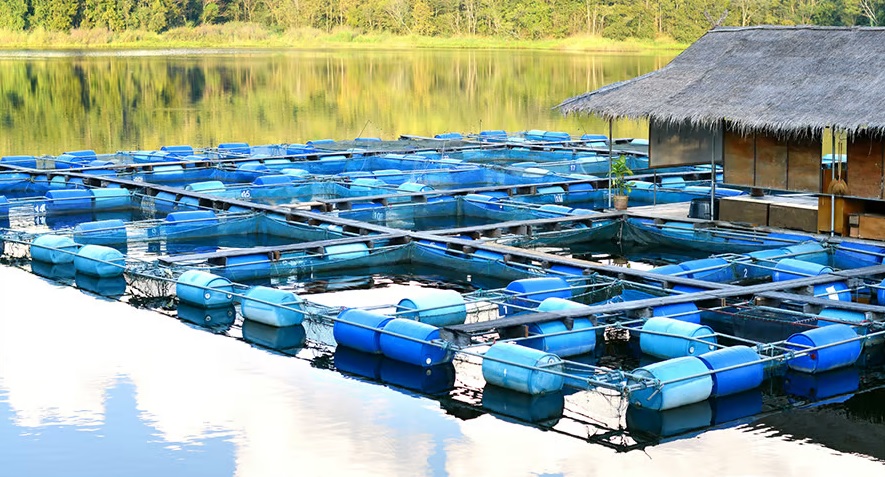 INTRODUCTION TO AQUACULTURE